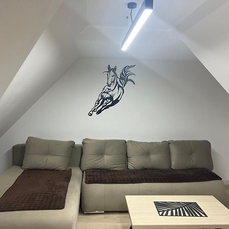 Family Apartmans Harry- Apartmans Of The Apart Hotel & Spa Zoned, Kopaonik - Special Benefit, Children Up To 13 Years Of Age Accompanied By Two Adults Stay For Free-Parking-Breakfast-Pool&Spa Extérieur photo